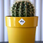 Equus Mare Apartamento *