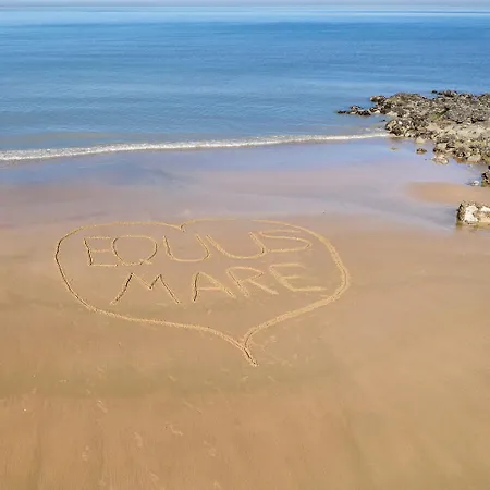 Equus Mare Apartamento Ostende