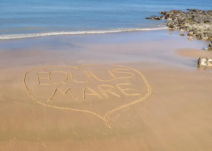 Equus Mare 公寓 奥斯滕德